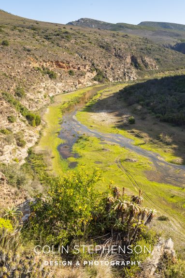 Environmental photography South Africa