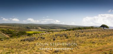 Environmental photography South Africa