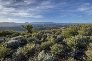 lodge photographer south africa