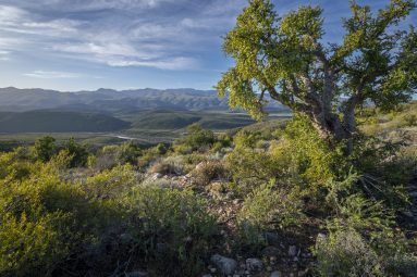 lodge photographer south africa