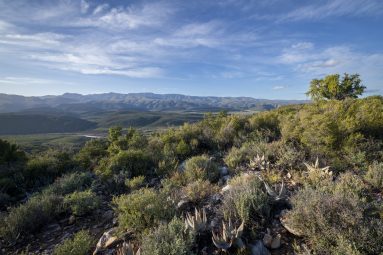 lodge photographer south africa